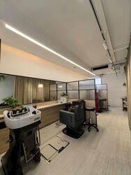 The Flow (D15), Shop House #462602781